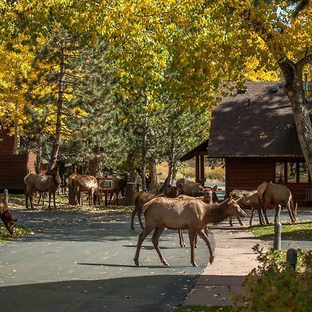 Rams Horn Village Resort エステス・パーク エクステリア 写真