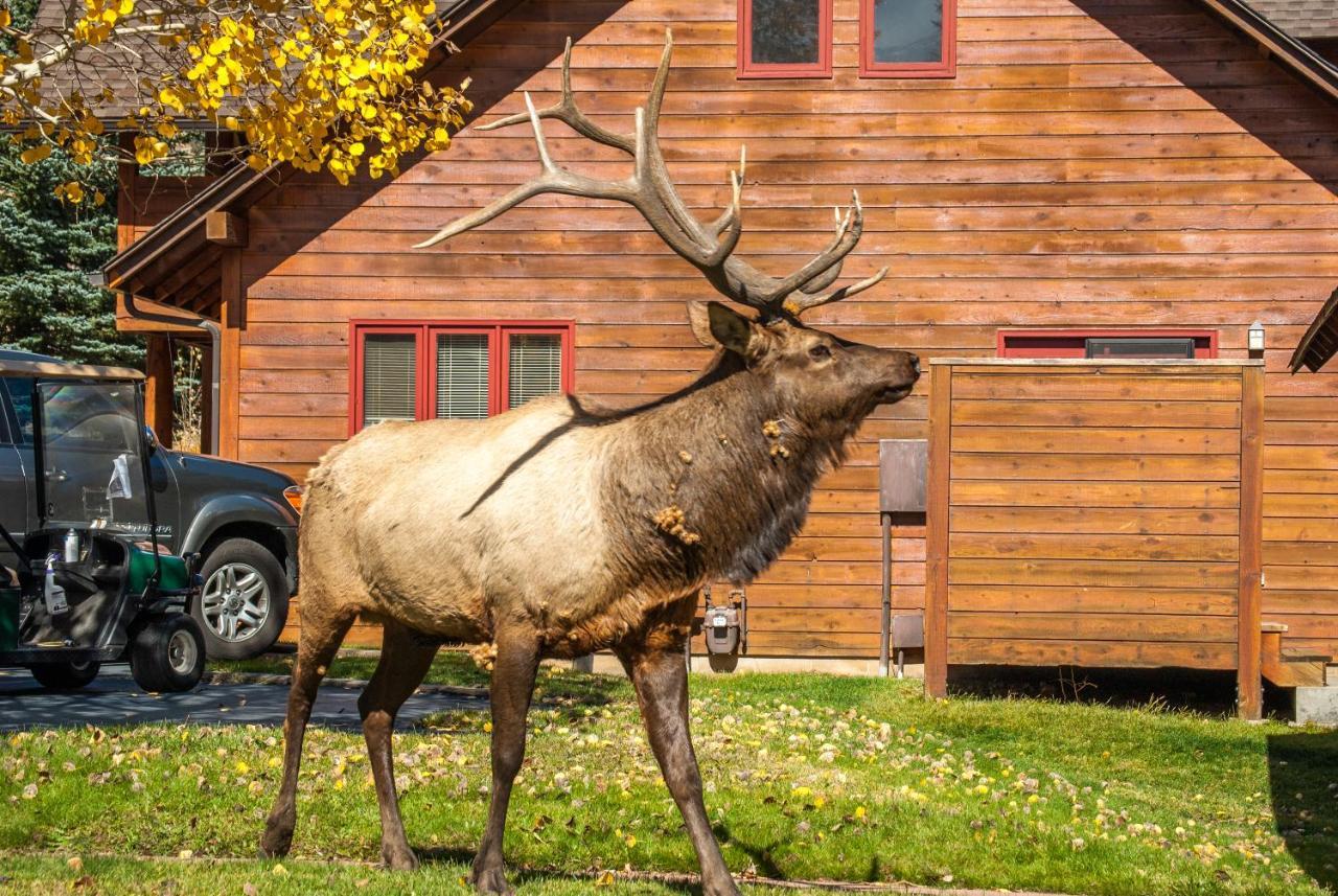 Rams Horn Village Resort エステス・パーク エクステリア 写真